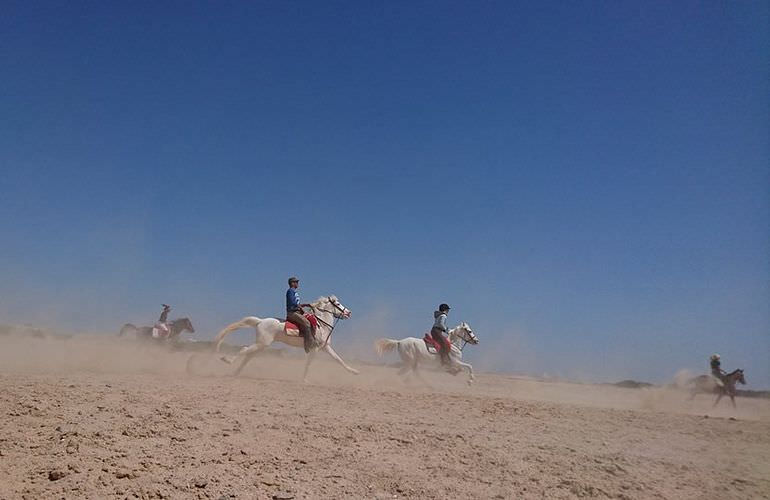 Pferde Reiten in Hurghada: Reiten am Strand oder in der Wüste