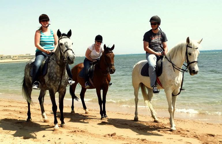 Pferde Reiten in Hurghada: Reiten am Strand oder in der Wüste