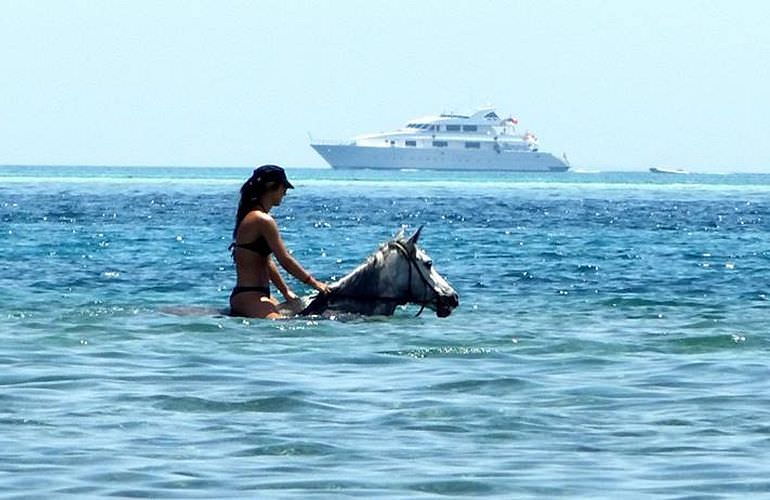 Pferde Reiten in Hurghada: Reiten am Strand oder in der Wüste