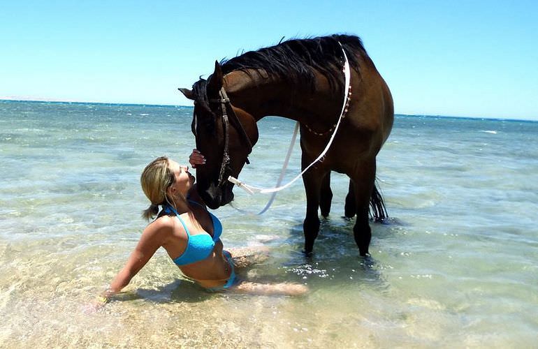 Pferde Reiten in Hurghada: Reiten am Strand oder in der Wüste