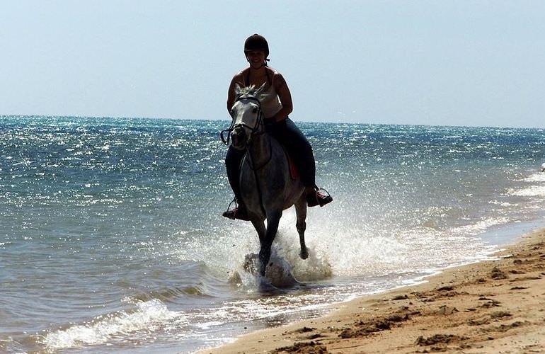 Pferde Reiten in Hurghada: Reiten am Strand oder in der Wüste