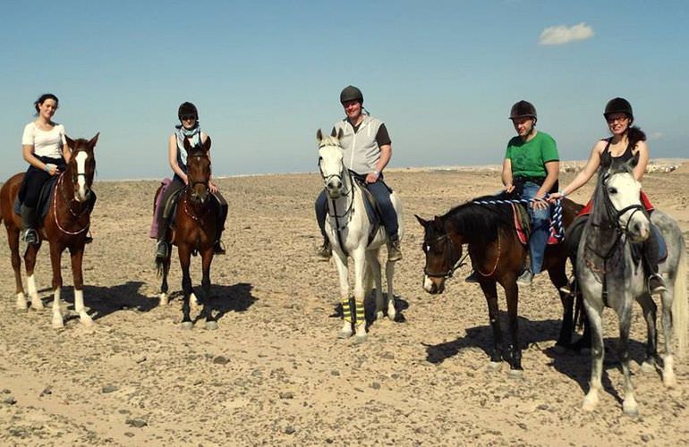 Pferde Reiten in Hurghada: Reiten am Strand oder in der Wüste