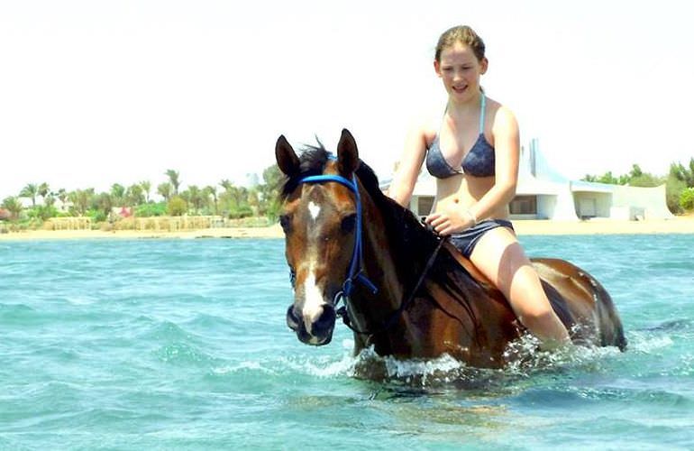 Pferde Reiten in Hurghada: Reiten am Strand oder in der Wüste