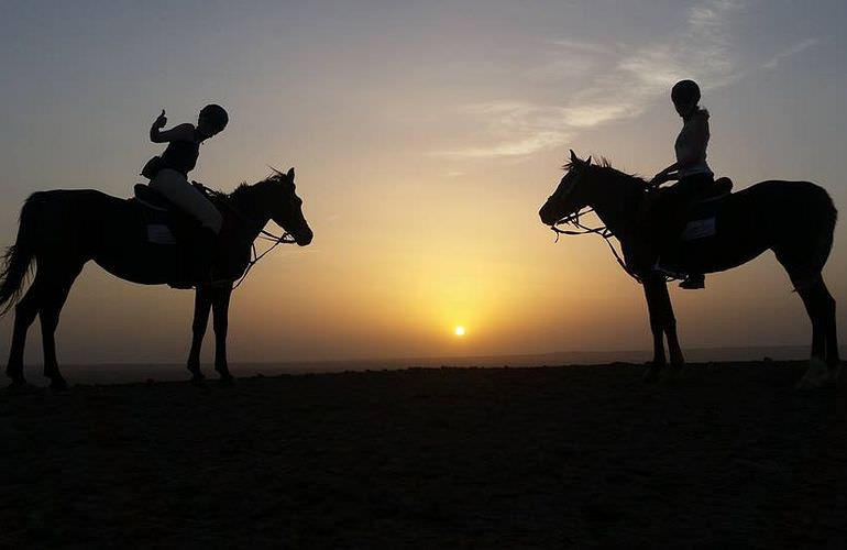 Pferde Reiten in Hurghada: Reiten am Strand oder in der Wüste