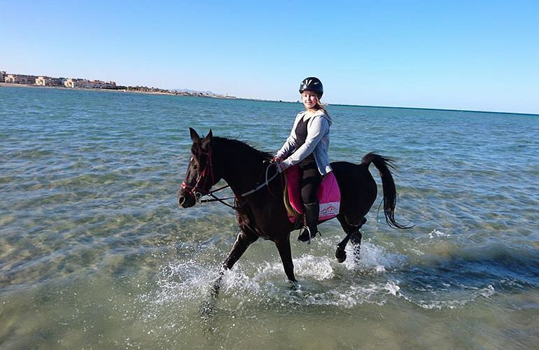 Pferde Reiten in Hurghada: Reiten am Strand oder in der Wüste