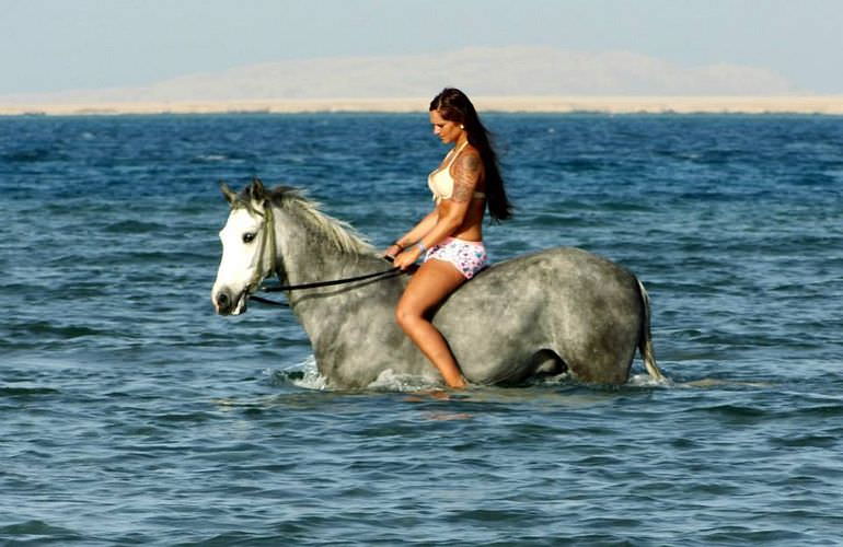 Pferde Reiten in Hurghada: Reiten am Strand oder in der Wüste