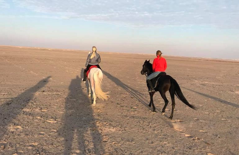 Pferde Reiten in Hurghada: Reiten am Strand oder in der Wüste