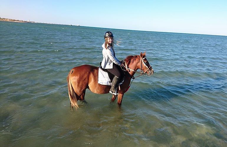 Pferde Reiten in Hurghada: Reiten am Strand oder in der Wüste