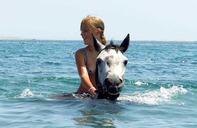 Pferde Reiten in Hurghada: Reiten am Strand oder in der Wüste