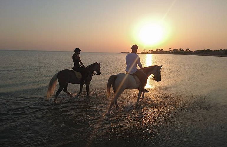 Pferde Reiten in Hurghada: Reiten am Strand oder in der Wüste