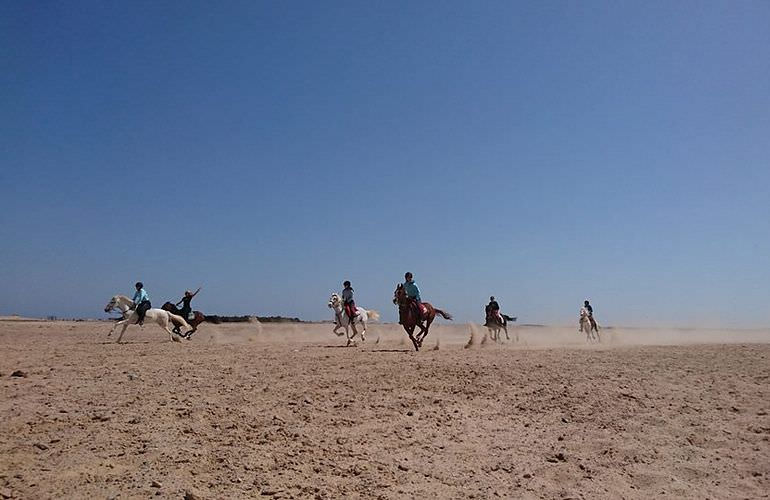 Pferde Reiten in Hurghada: Reiten am Strand oder in der Wüste