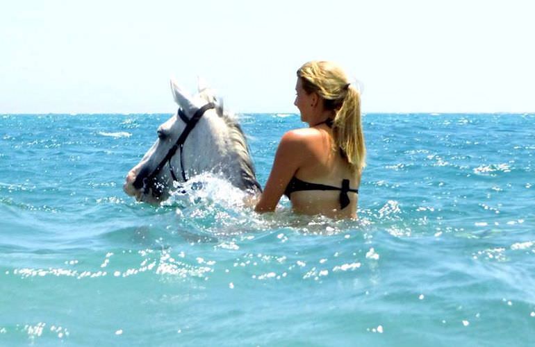 Pferde Reiten in Hurghada: Reiten am Strand oder in der Wüste