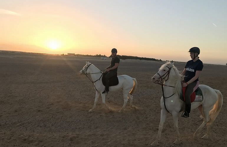 Pferde Reiten in Hurghada: Reiten am Strand oder in der Wüste