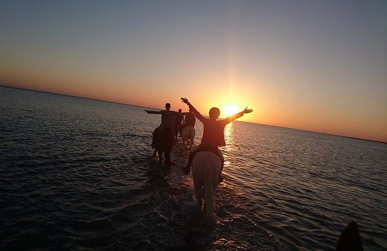 Pferde Reiten in Hurghada: Reiten am Strand oder in der Wüste