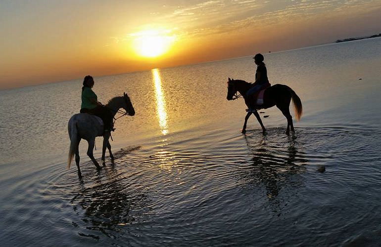 Pferde Reiten in Hurghada: Reiten am Strand oder in der Wüste