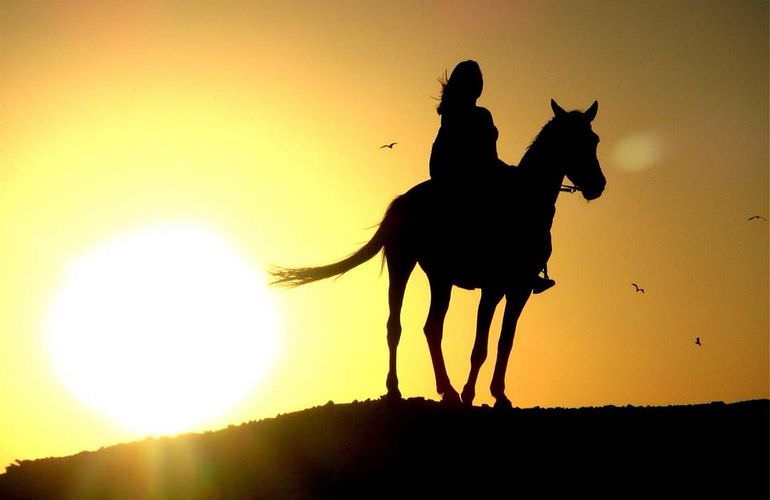 Pferde Reiten in Hurghada: Reiten am Strand oder in der Wüste