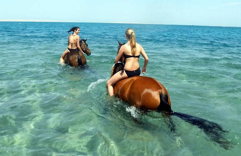 Pferde Reiten in Hurghada: Reiten am Strand oder in der Wüste