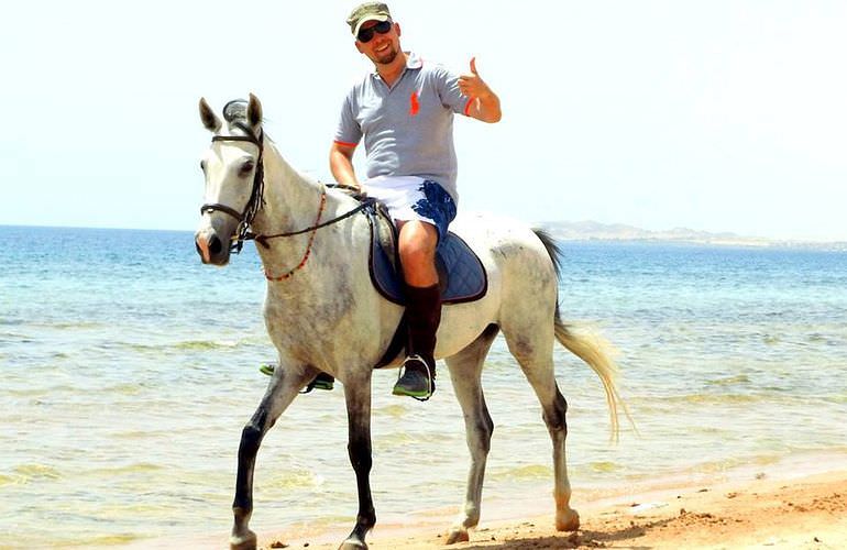 Pferde Reiten in Hurghada: Reiten am Strand oder in der Wüste