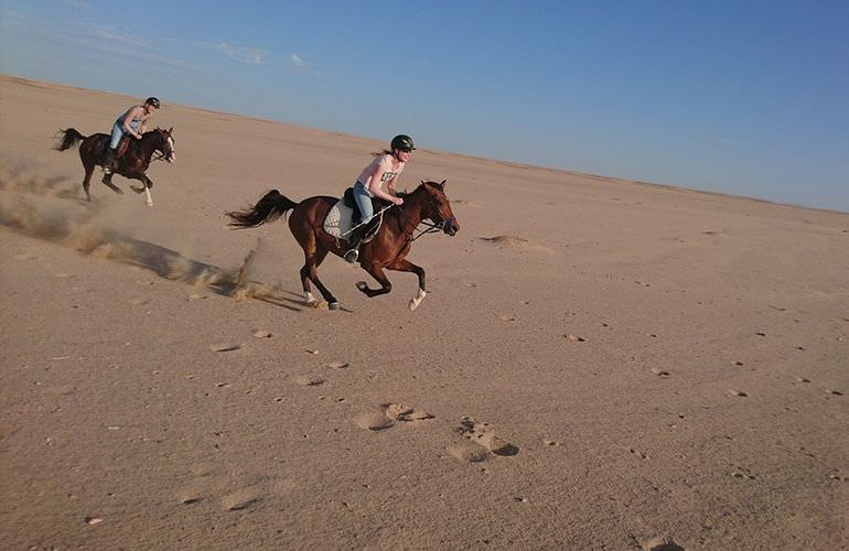 Pferde Reiten in Hurghada: Reiten am Strand oder in der Wüste