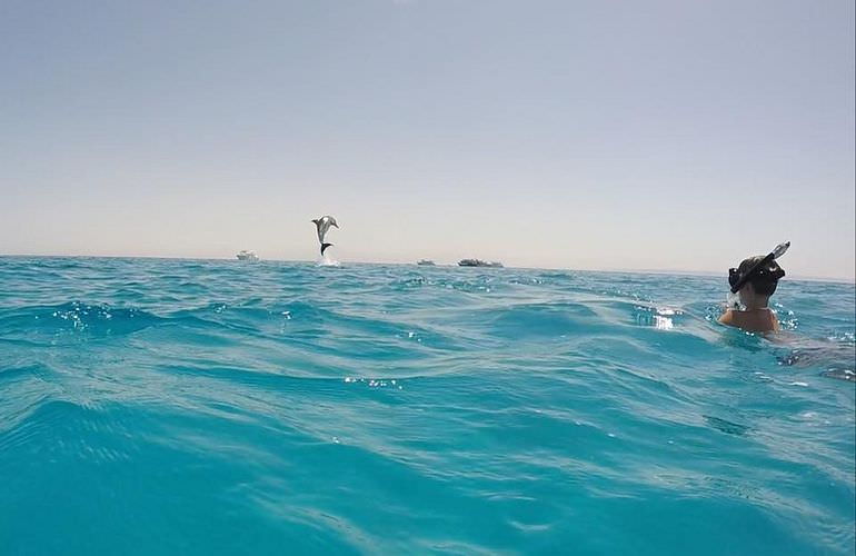 Private Inseltour mit dem Boot: Karibikfeeling im Roten Meer 