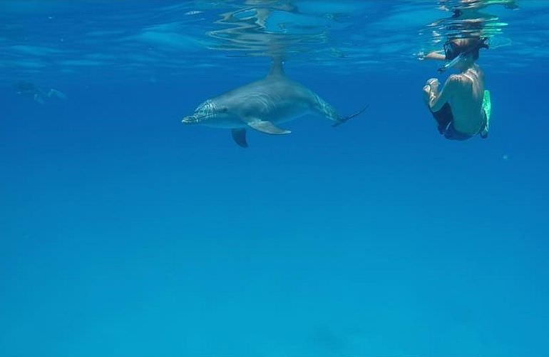 Private Inseltour mit dem Boot: Karibikfeeling im Roten Meer 