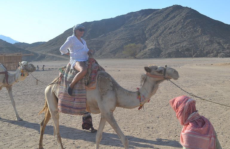 Quad Safari am Morgen mit Kamelreiten im Beduinendorf 