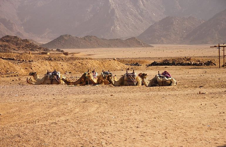 Private Quad Tour bei Sonnenaufgang in der Wüste von Hurghada