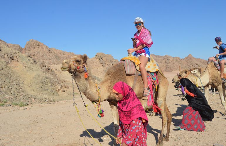 Quad Tour ab Hurghada: Wüstensafari mit dem Quad zum Beduinendorf