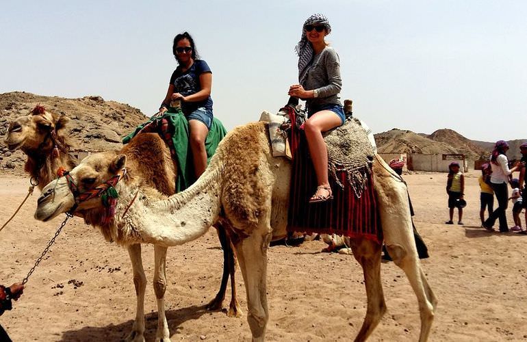 Safari mit Quad ab Hurghada - Halbtagestour