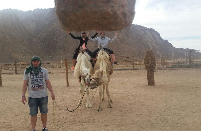 Sahara Park Safari ab Hurghada & Kombi-Wüstentour: Quad-Tour, Jeep Fahren, Beduinendorf, Kamelritt & BBQ