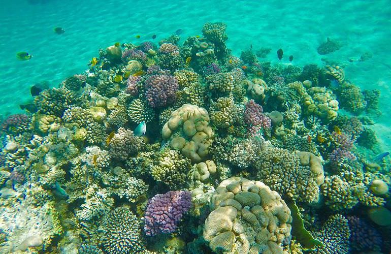 Schnorchelausflug zur Sharm El Naga Bucht von Hurghada aus