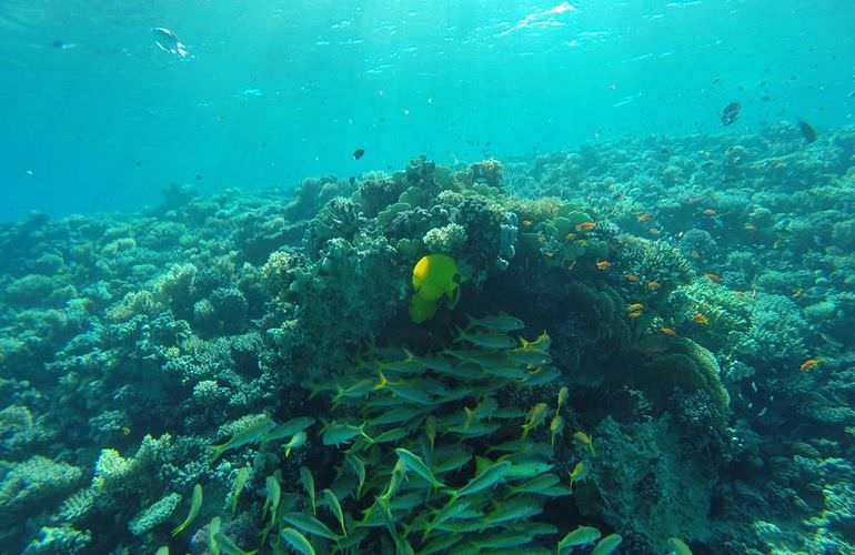 Schnorchelausflug zur Sharm El Naga Bucht von Hurghada aus