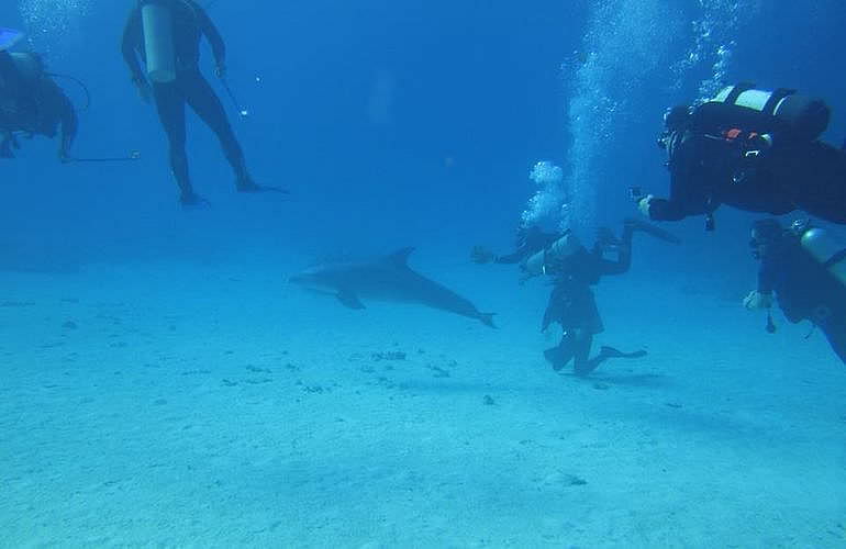 PADI Scuba Diver Kurs in Hurghada - Schnuppertauchkurs 1 Tag