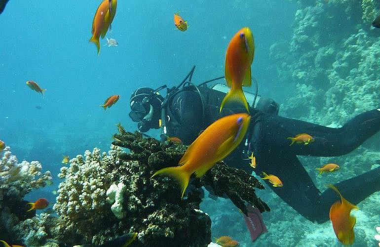 Fun Diving Hurghada - Ganztägige Tauchfahrt mit 2 Tauchgängen