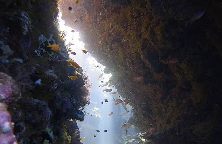 Fun Diving Hurghada - Ganztägige Tauchfahrt mit 2 Tauchgängen