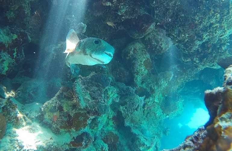 PADI Open Water Diver, der Einsteiger Tauchkurs 