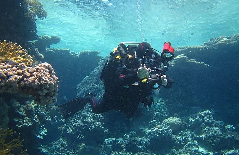 PADI Advanced Open Water Diver Kurs in Hurghada