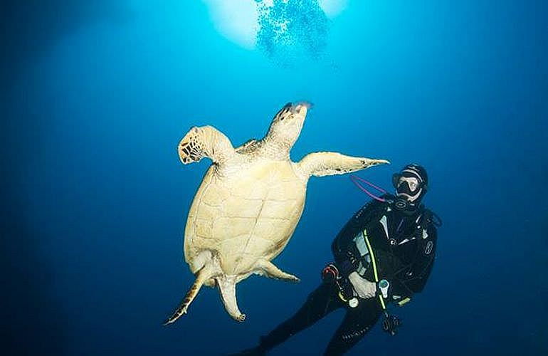 PADI Scuba Diver Kurs in Hurghada - Schnuppertauchkurs 1 Tag