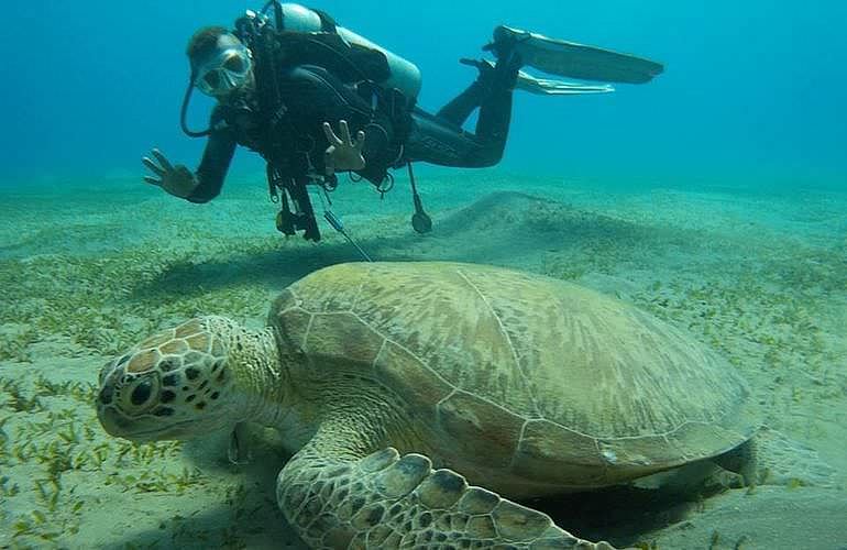 PADI Scuba Diver Kurs in Hurghada - Schnuppertauchkurs 1 Tag