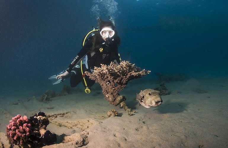 Auffrischungskurs: PADI Scuba Review Programm in Hurghada