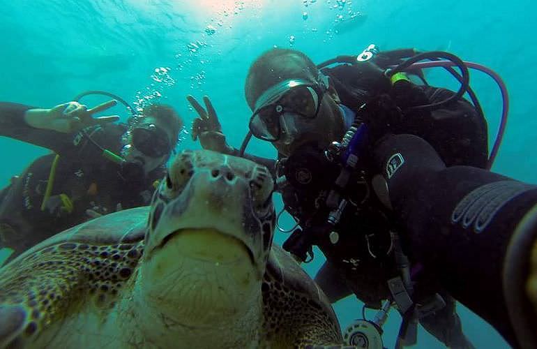 Tauchen in Hurghada: Tauchausfahrten - Schnuppertauchen - Tauchen für Wiedereinsteiger