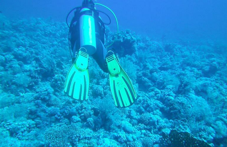 Tauchen in Hurghada: Tauchausfahrten - Schnuppertauchen - Tauchen für Wiedereinsteiger