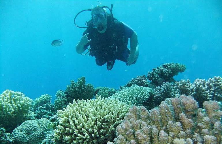 Auffrischungskurs: PADI Scuba Review Programm in Hurghada