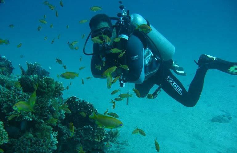 Auffrischungskurs: PADI Scuba Review Programm in Hurghada