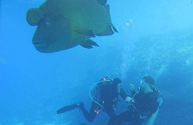 PADI Advanced Open Water Diver, Tauchkurs für Fortgeschrittene in Hurghada