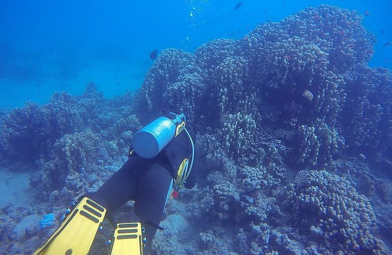 PADI Advanced Open Water Diver, Tauchkurs für Fortgeschrittene in Hurghada