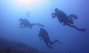 Auffrischungskurs: PADI Scuba Review Programm in Hurghada