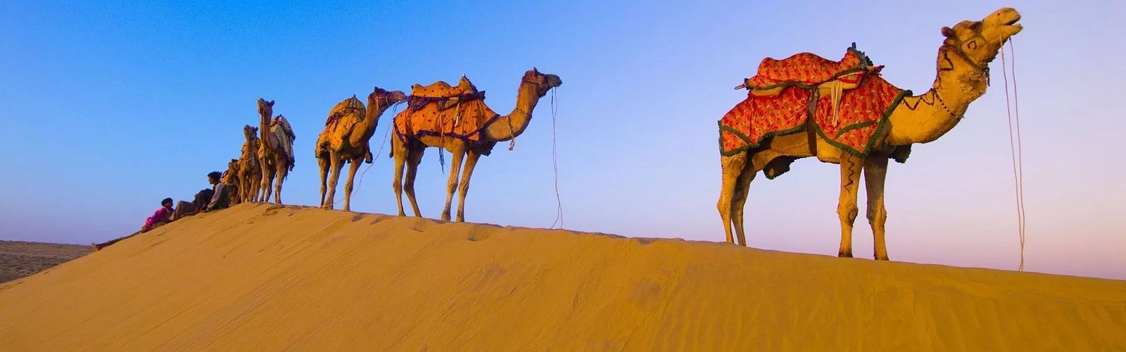Die Top 10 Wüstentouren & Wüstensafari in Hurghada 2022